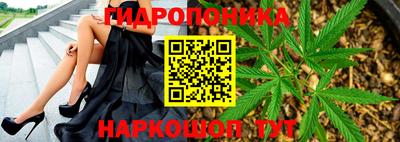прущие крисы Кулебаки