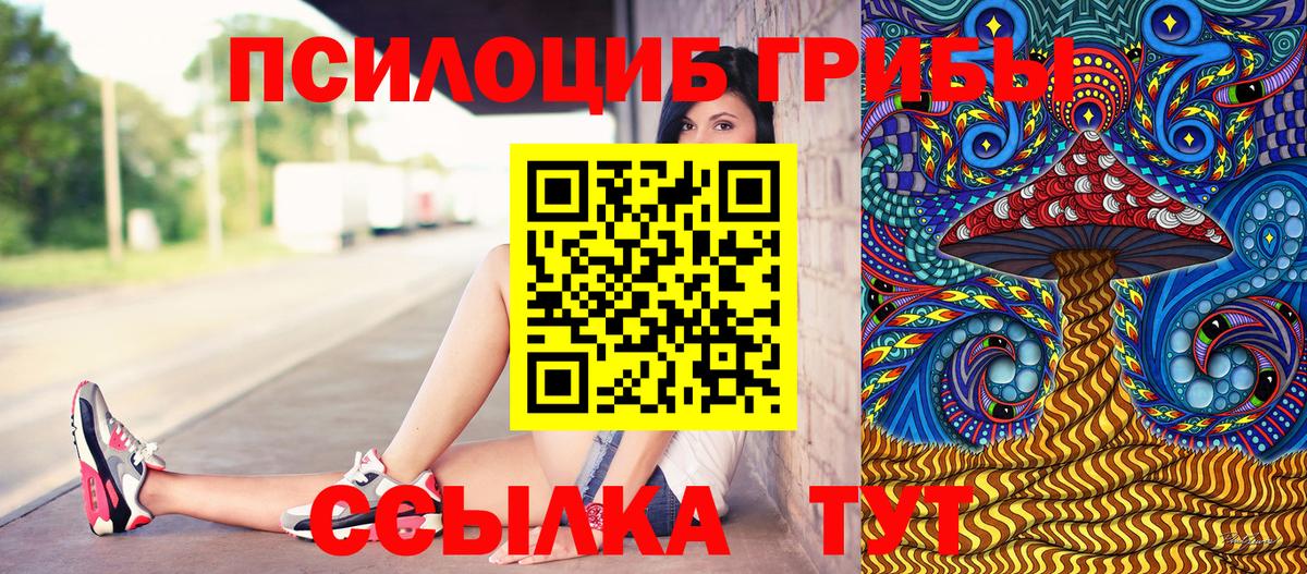 Псилоцибиновые грибы мухоморы  Вход с VPN  Черняховск 